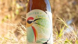 Jester King 02