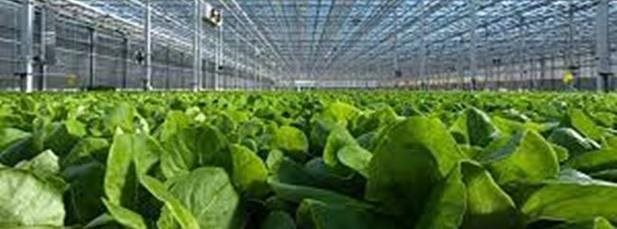 small-scale carbon capture for indoor growing